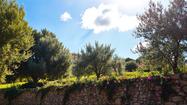 Rénovation énergétique : pourquoi opter pour Cozynergy en Provence-Alpes-Côte d'Azur
